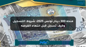 منحة 300 دينار تونس 2025: شروط التسجيل وكيف تسجل قبل انتهاء الفرصة